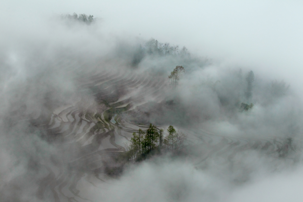 润物细无声 摄影 龙溪居主