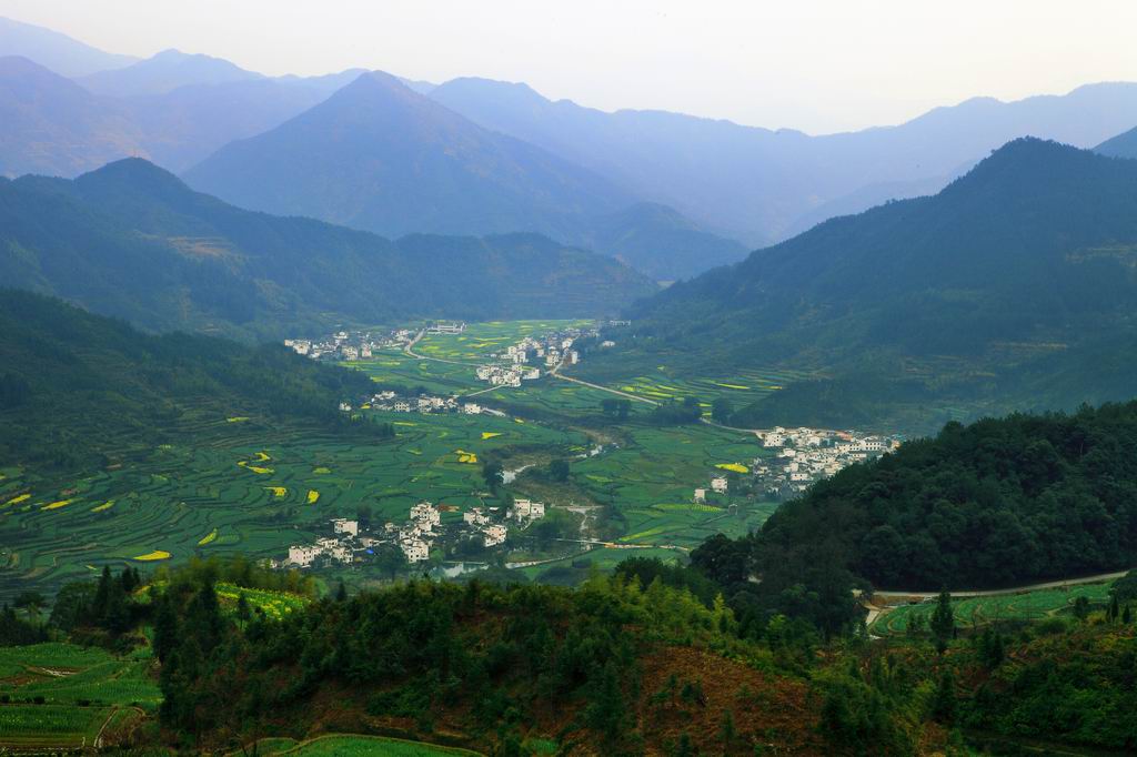 婺源江岭风光 摄影 蕊宝贝