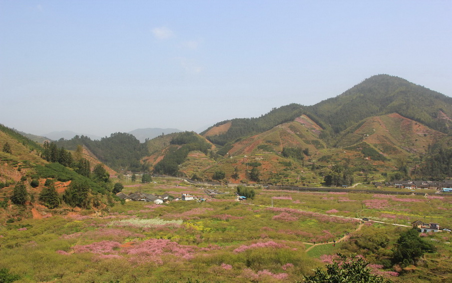 九峰茶料村 摄影 tangcg