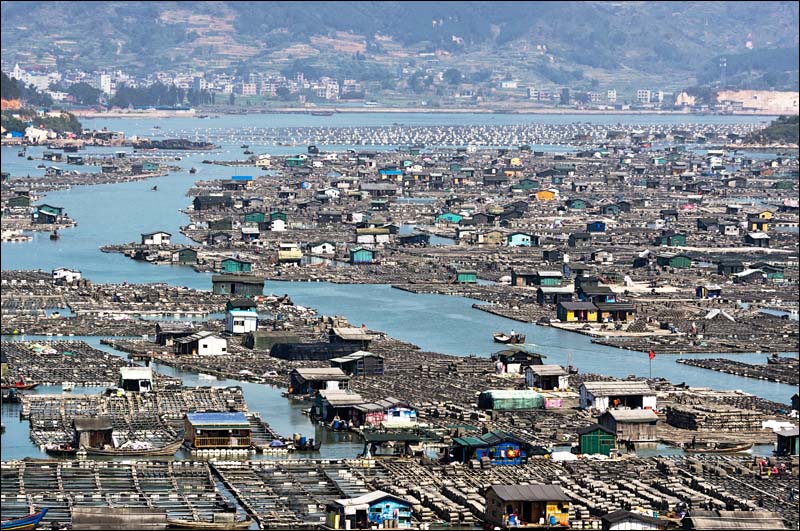 海上之城 摄影 静野