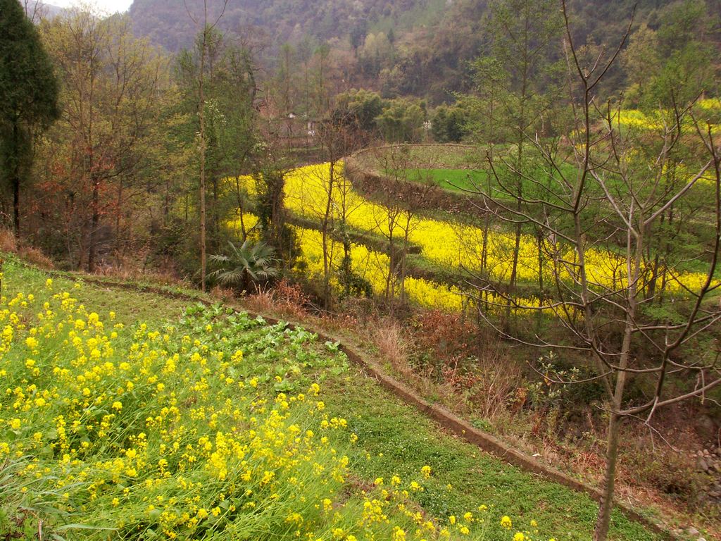 路边的风景 摄影 你的视角