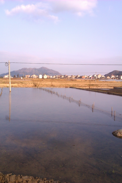 乡村小景 摄影 高渐飞