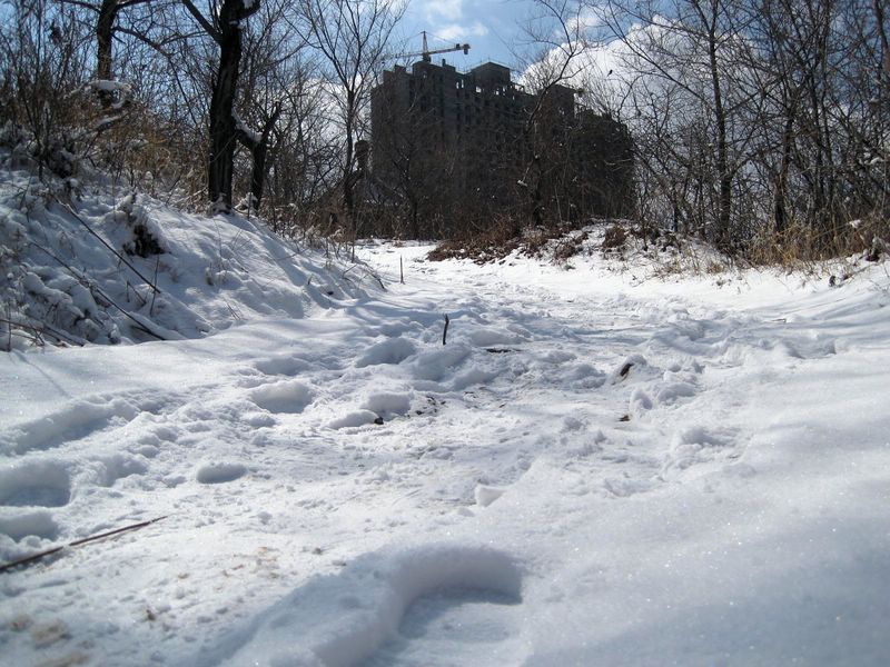 春雪 摄影 深水无澜