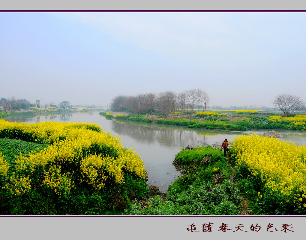 清江田园 （1 ） 摄影 竹林後山人