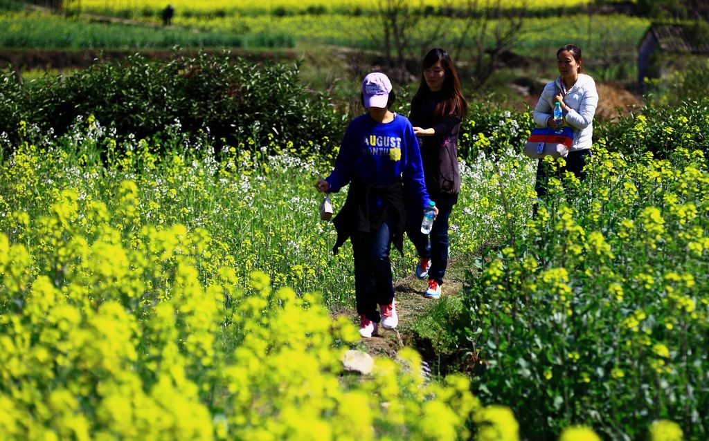 《跌跌撞撞进春天》——点击放大 摄影 残月晓风