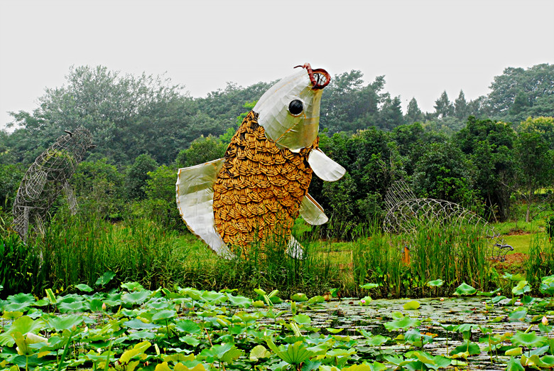 植物园风景 摄影 淙水秀才