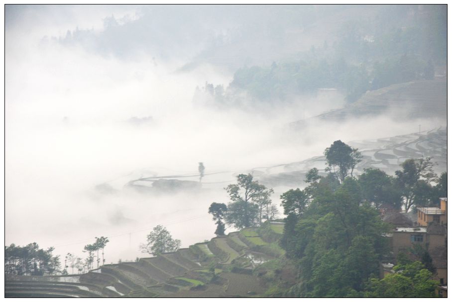 晨雾山村 摄影 hfwang