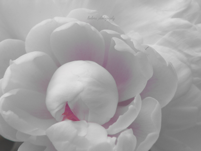 明天· 摄影 liselena