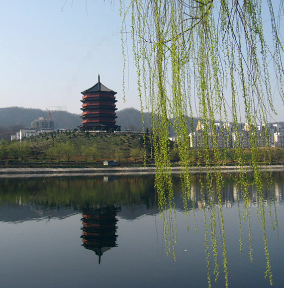 信阳  茗阳阁 摄影 牛大哥