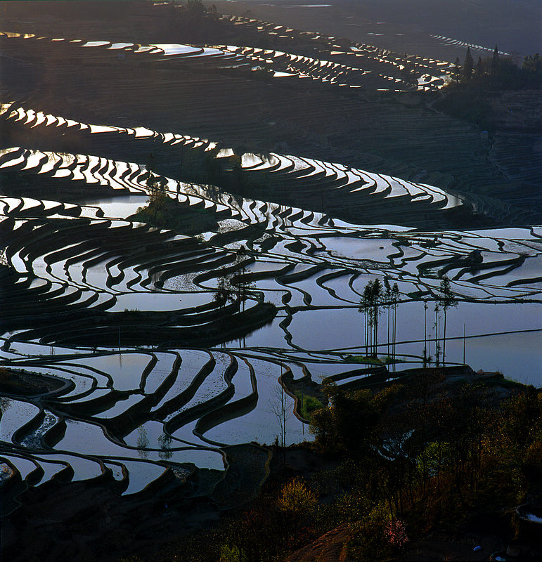 元阳梯田（12） 摄影 zhangym