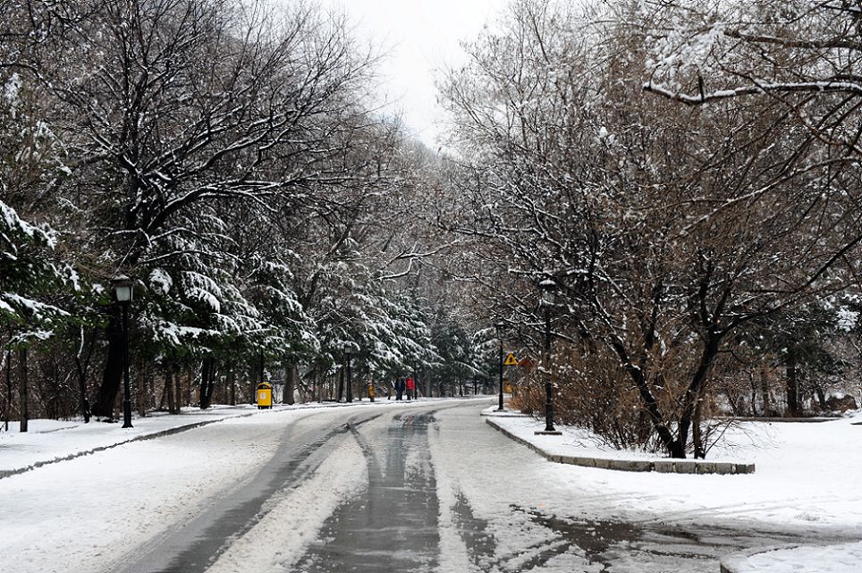 千山春雪1 摄影 秋叶雨荷