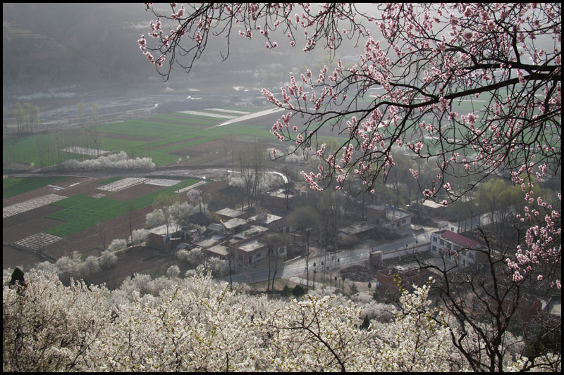 田园美景 摄影 早起的人