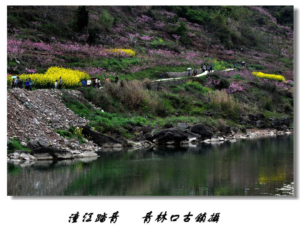 "潼江小景" 摄影 宾星