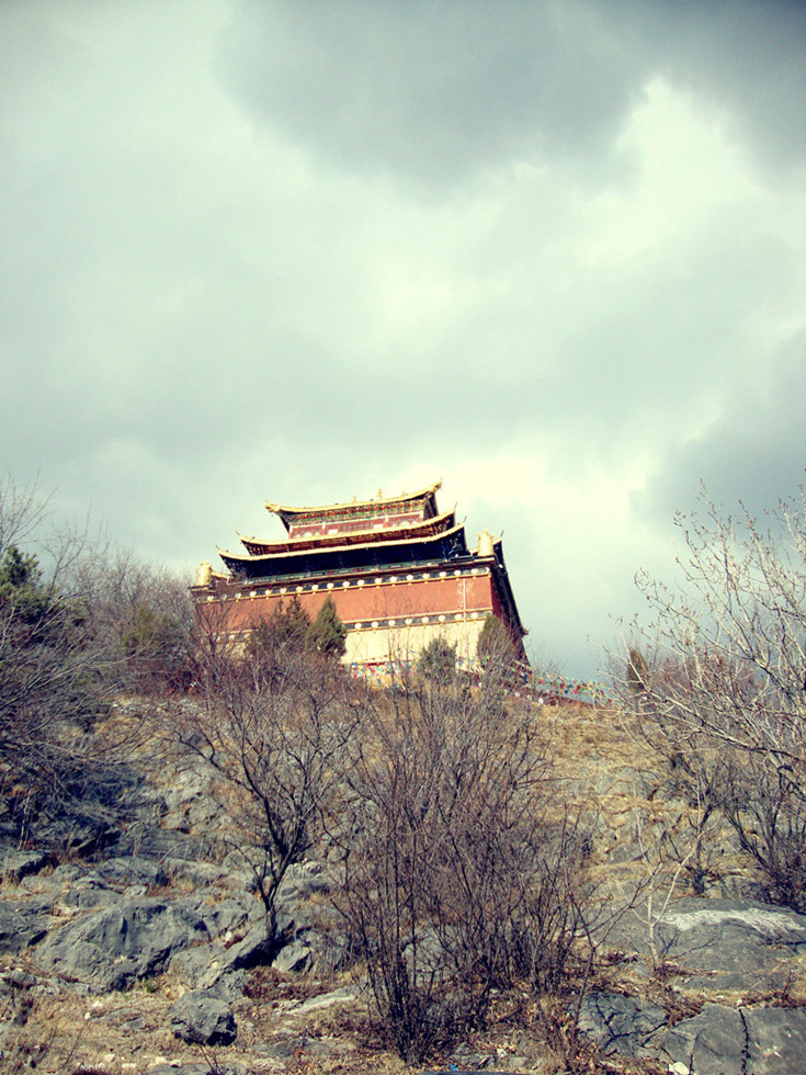 大佛寺 摄影 貞里貞氣_