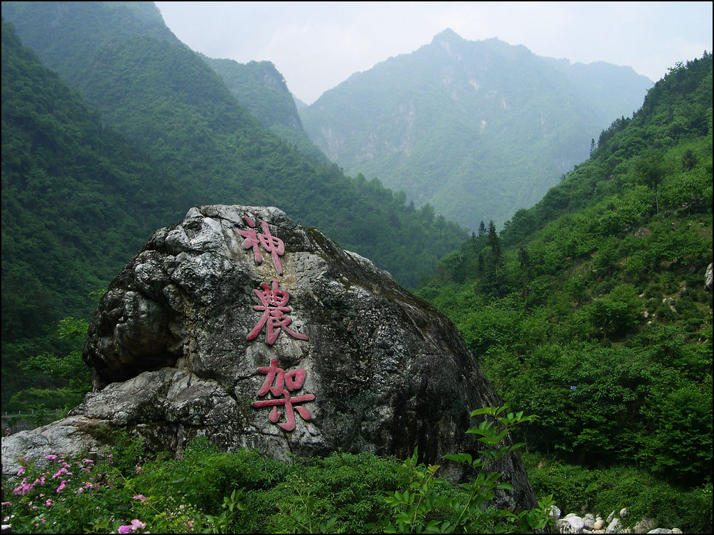 走进神农架 摄影 老尼康