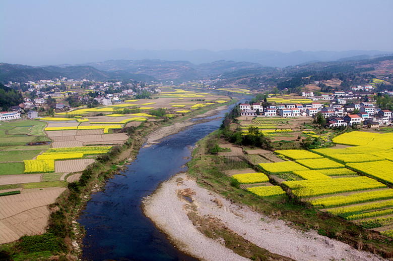 松滋油菜花 摄影 勤劳农夫