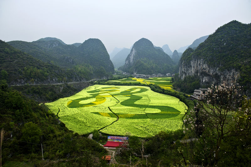 龙 摄影 走一会