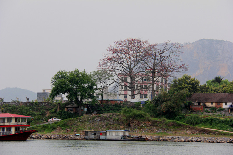 乡村码头 摄影 清风水波