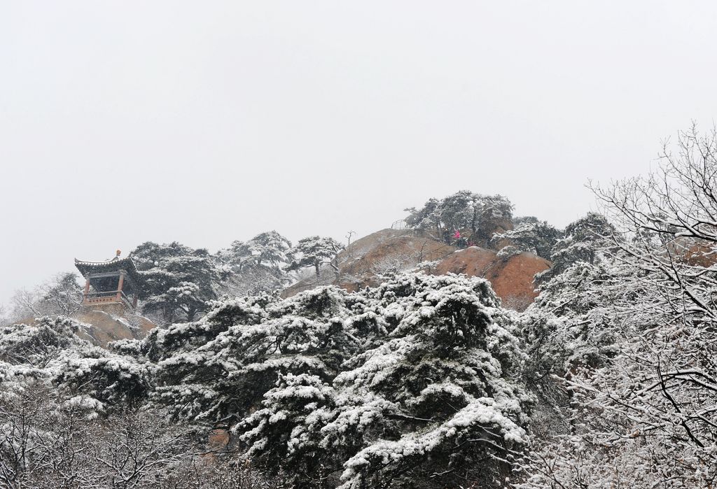 千山春雪4 摄影 秋叶雨荷