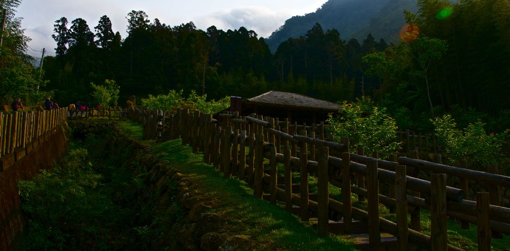 台湾行——阿里山 摄影 baiyumao