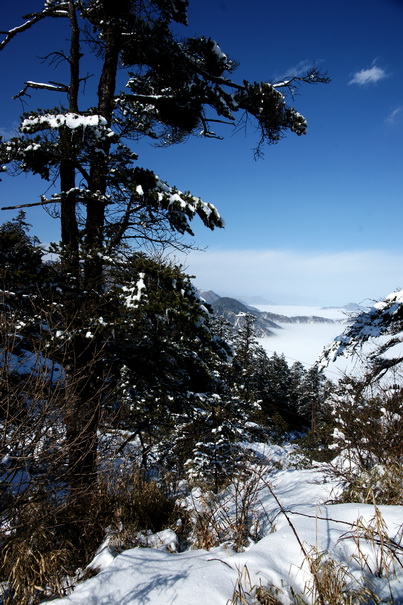 西岭雪山-日月坪 摄影 老鱼翁