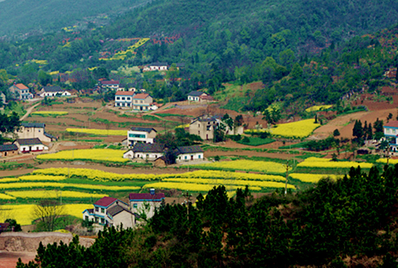 春满山乡 摄影 勤劳农夫