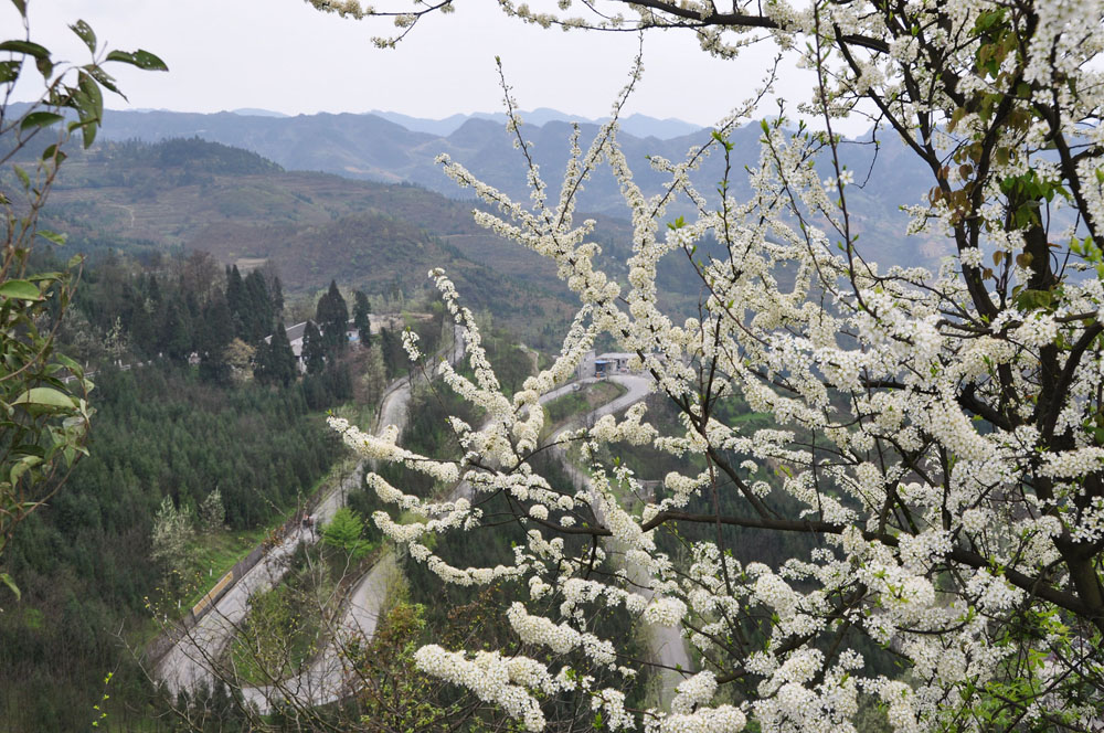 贵州桐梓：“神州第一弯” 摄影 桐梓邹明建