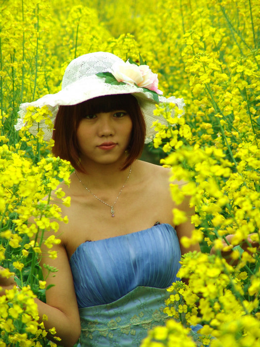 油菜花开1 摄影 sunrise2006