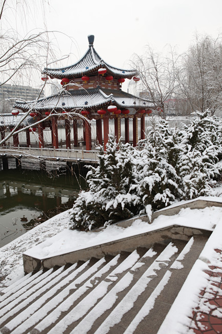 春雪 摄影 陇上汉