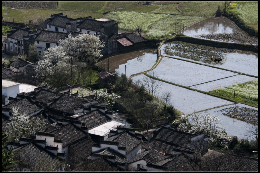 乡村一角2 摄影 一阵风2009