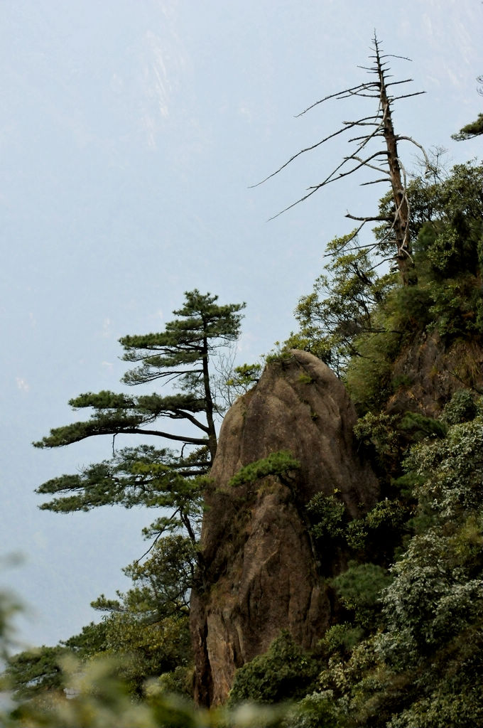 三清山松石 摄影 Tphoto