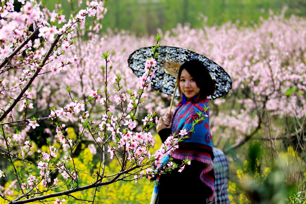 人面桃花相映红 摄影 YuHoo