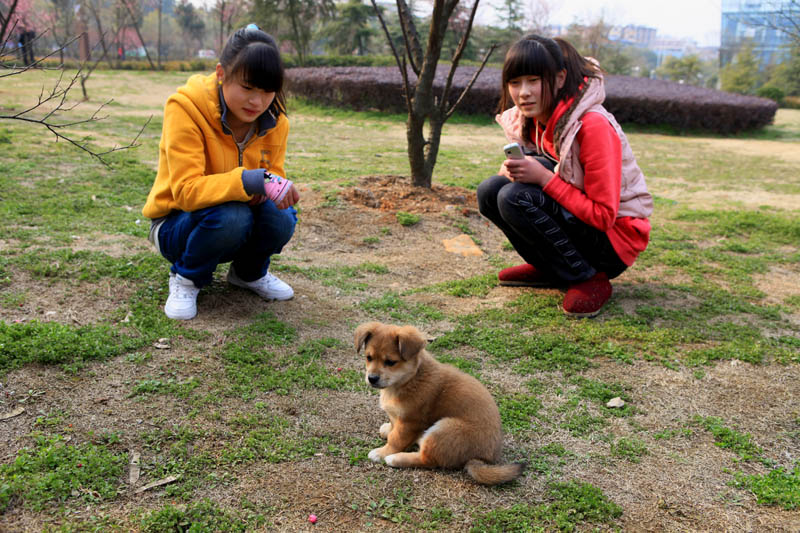 旁若无人 摄影 我是领导