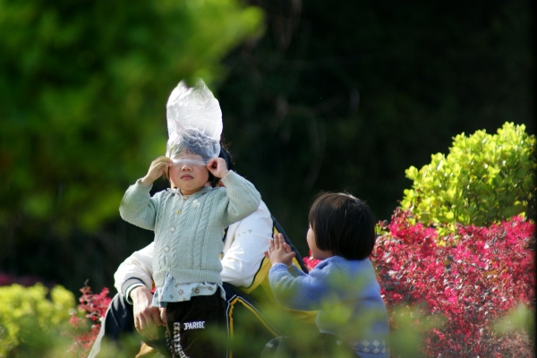 童趣 摄影 山石山令