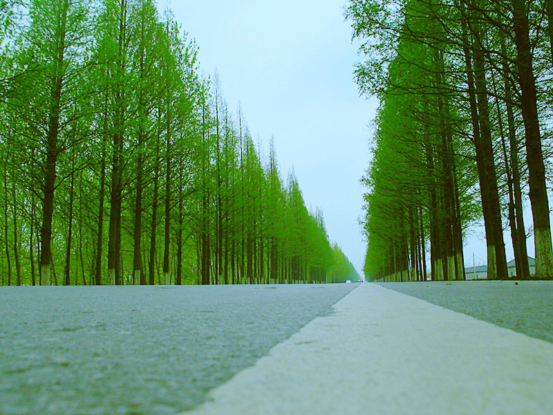 路边风景 摄影 沂蒙路客