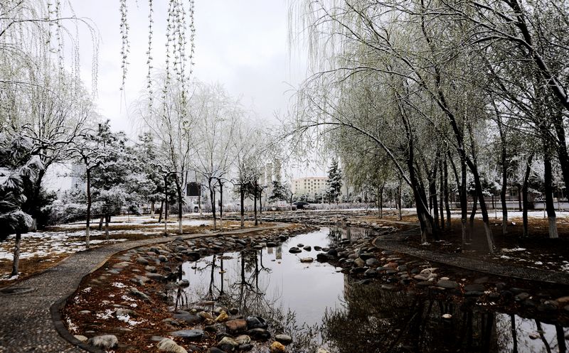 舂雪之后 摄影 空穴来风