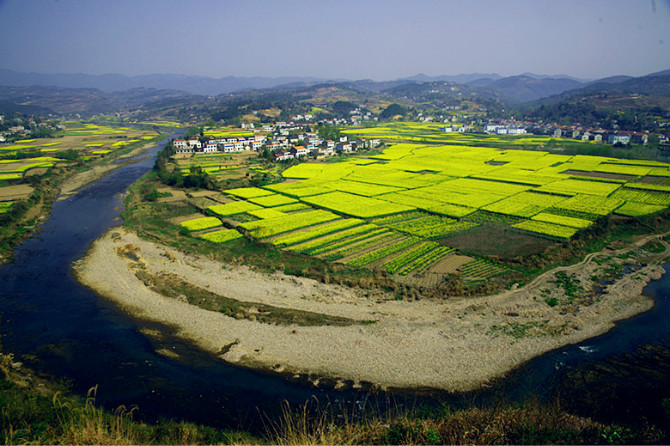 松滋卸甲坪油菜花 摄影 勤劳农夫