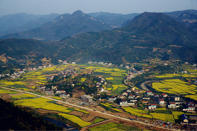 松滋卸甲坪油菜花 摄影 勤劳农夫