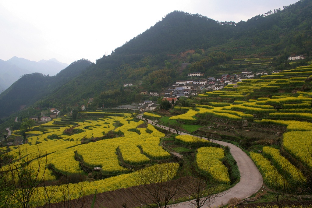 山村之春 摄影 元白