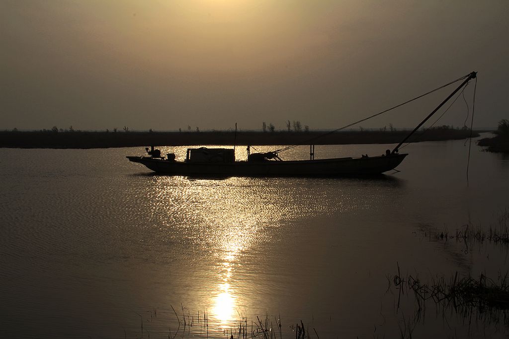 衡水湖 摄影 chenlong1105