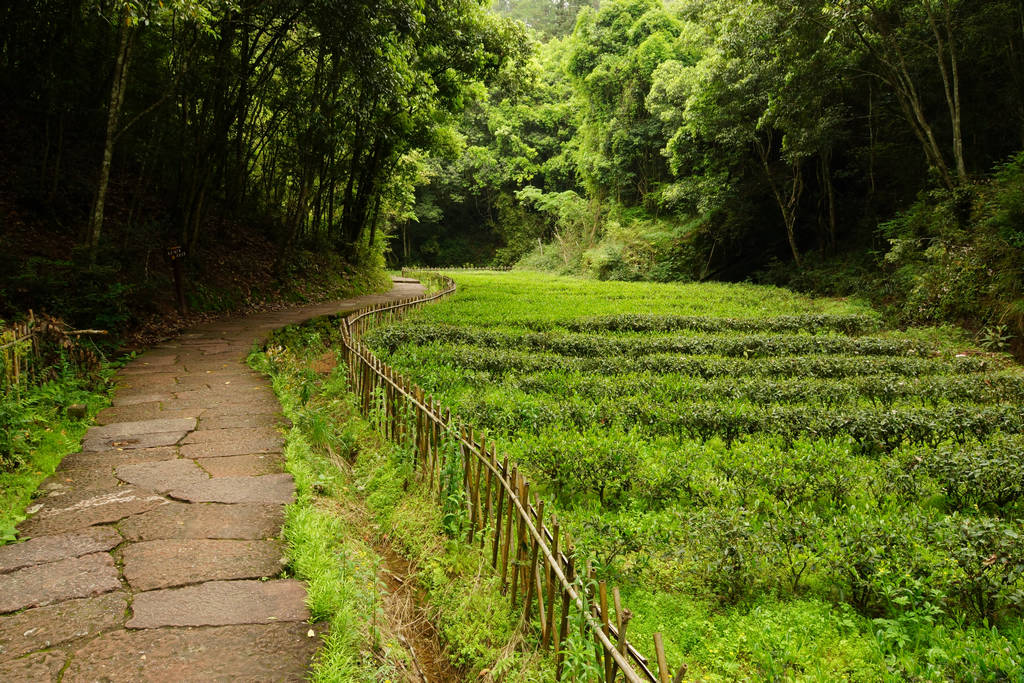 山间小道 摄影 ndwindy