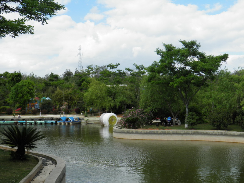 生态园内风景 摄影 样样新