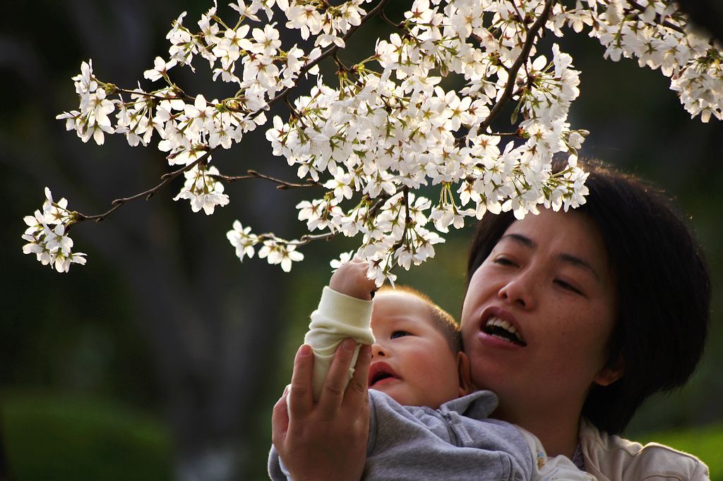 赏花 摄影 心有芊芊