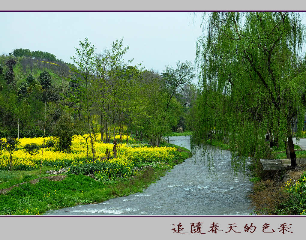 田园   (    1     ) 摄影 竹林後山人