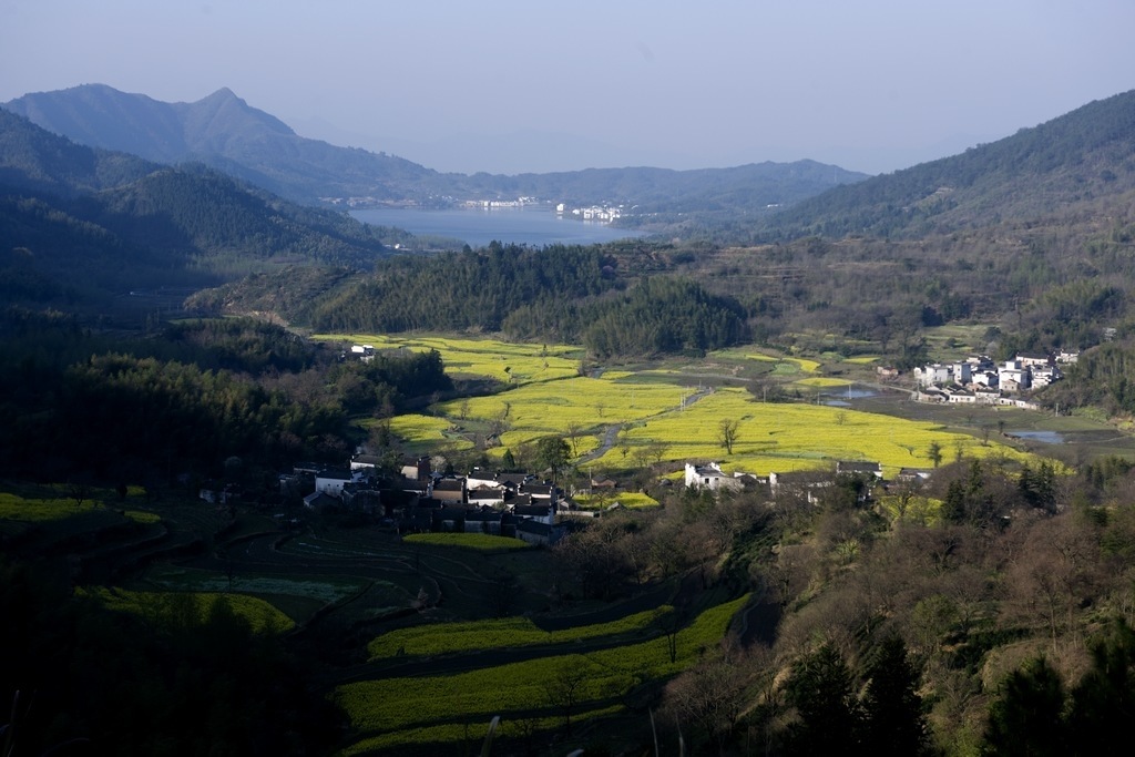 宏村.塔川 摄影 打渔人