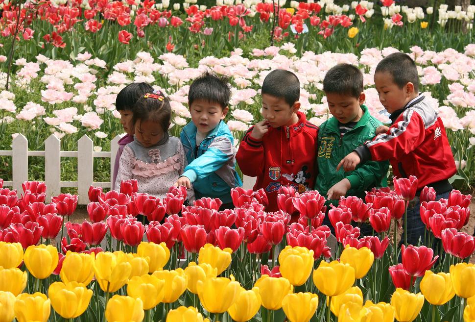 人间最美四月天－７ 摄影 晓玉