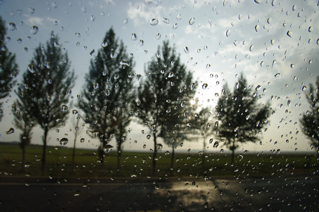 雨后·阳光 摄影 赵狐狸