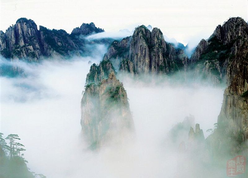 雾绕黄山景 摄影 静趣斋