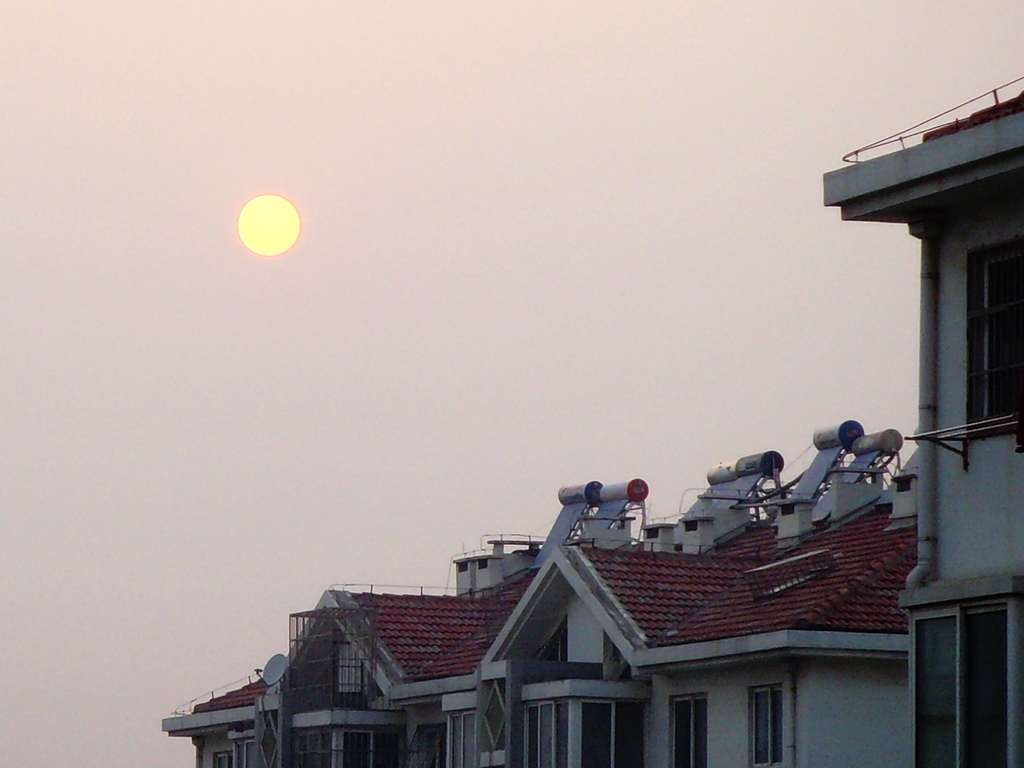 太阳能 摄影 海鸥119