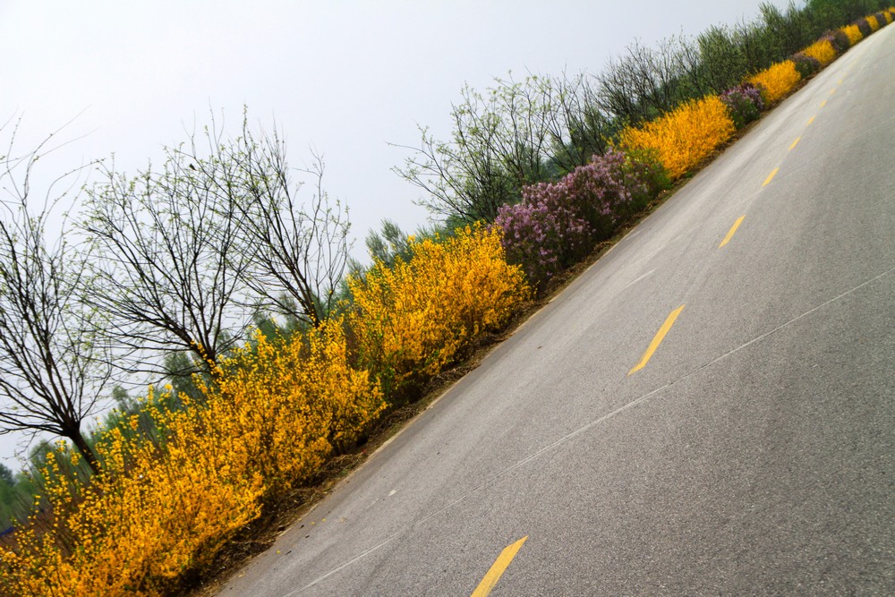 马路风景 摄影 也早